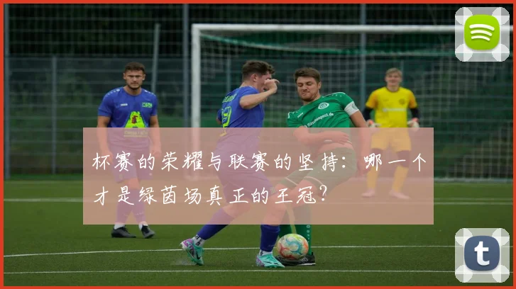 杯赛的荣耀与联赛的坚持:哪一个才是绿茵场真正的王冠?